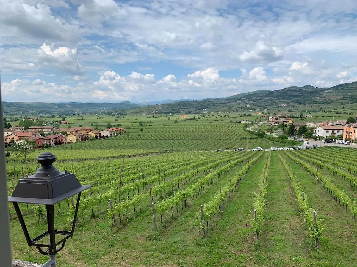Soave House Alle Vigne-1-Luxury Stay 0*, Soave (Verona) Italia